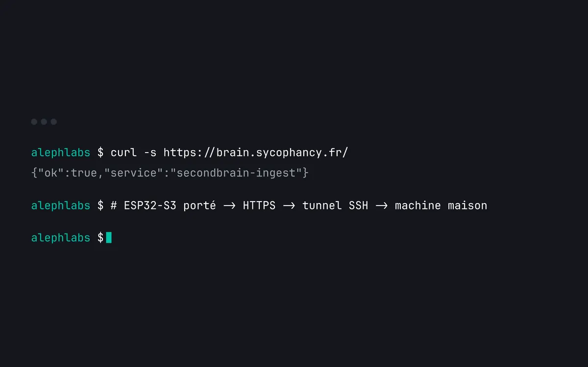 Terminal: the ingest endpoint answering